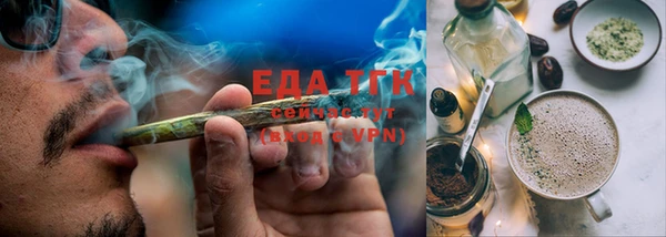 твердый Богданович