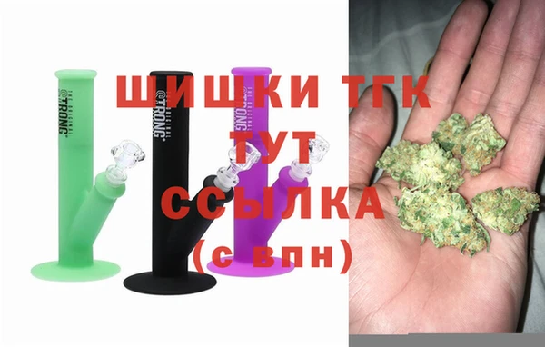 СК Богородск