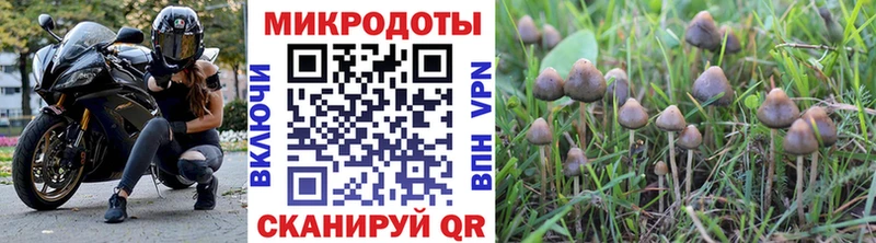 это клад Шарья Галлюциногенные грибы мицелий магазин продажи наркотиков